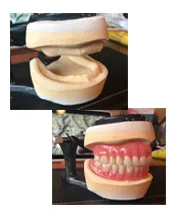 Case Presentation Models