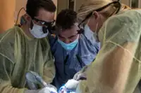 Live Implant Surgery