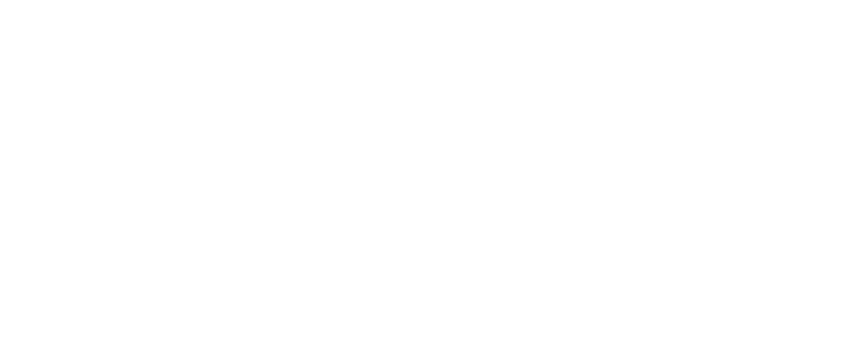 Rasner Institute